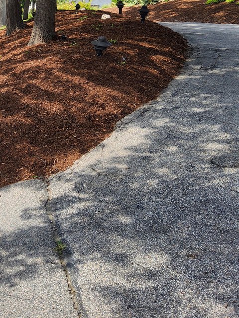 Hillside under mature trees covered in a thick layer of fresh dark mulch, with black mushroom path lights and a clean curved edge along the asphalt driveway