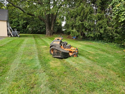 Orange Scag V-Ride II stand-on mower on a lawn mown in straight light and dark stripes, with a shed, ladder, wheelbarrow and a large tree behind it